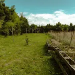 La Casa De Arboles