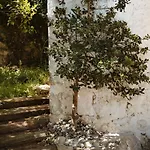 La Casa De Arboles *