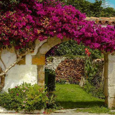 La Casa De Arboles Исла