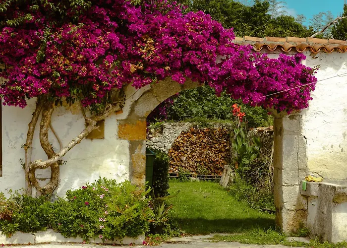 La Casa De Arboles Исла